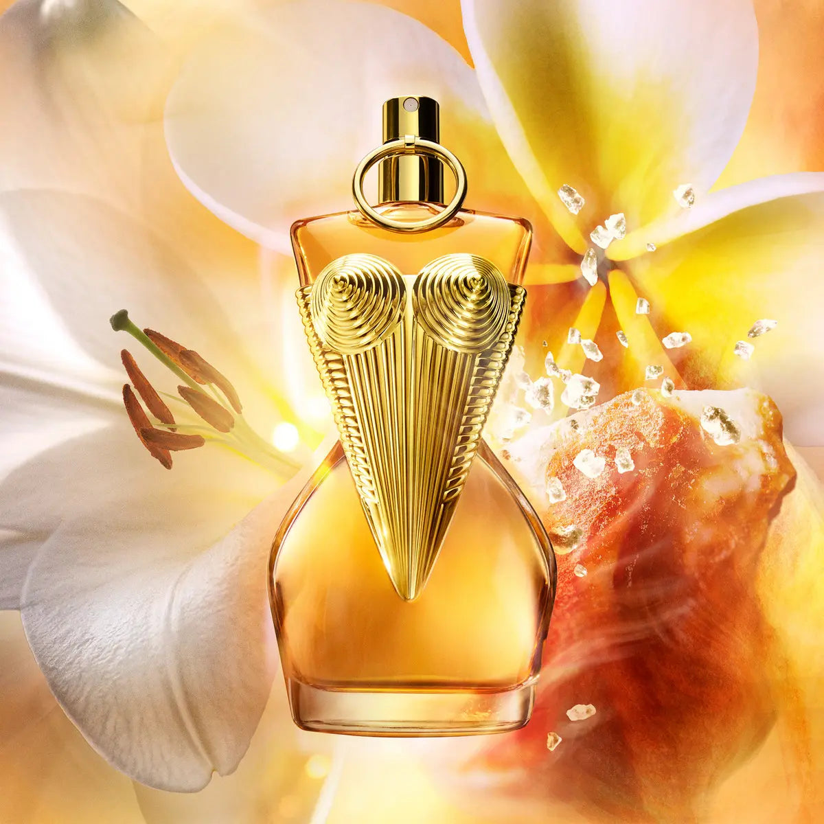 Jean Paul Gaultier Gaultier Divine Eau de Parfum Intense 100 ml