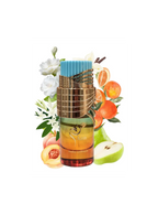 Paris Corner Azm Eau De Parfum 100ml