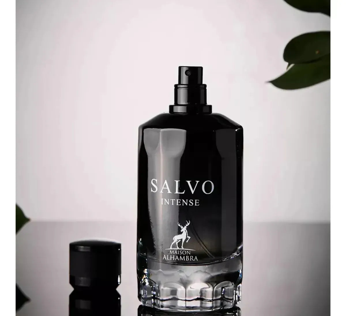 Maison Alhambra Salvo Intense Eau de Parfum Edp 100ml