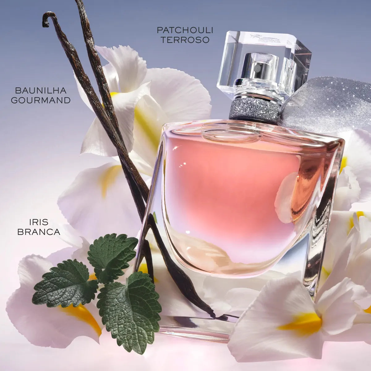 La Vie Est Belle Lancôme Eau De Parfum Feminino 100ml