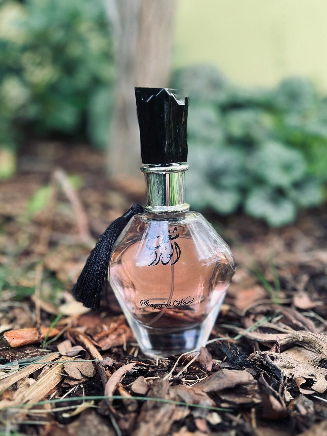 Shagaf Al Ward Al Wataniah Feminino 100ml Eau De Parfum